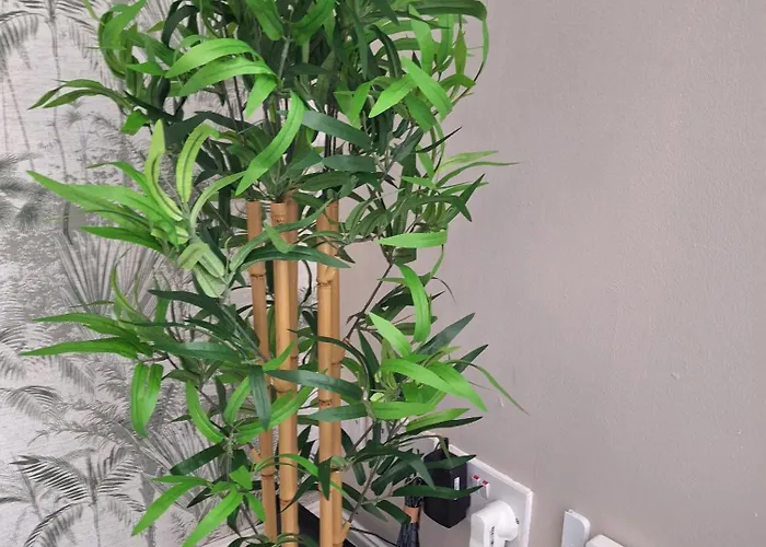 Old Coach House With Garage