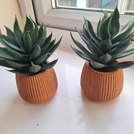 Old Coach House With Garage * 스카버러