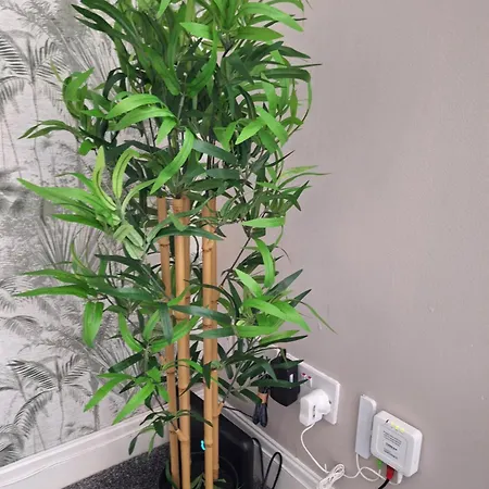 Old Coach House With Garage