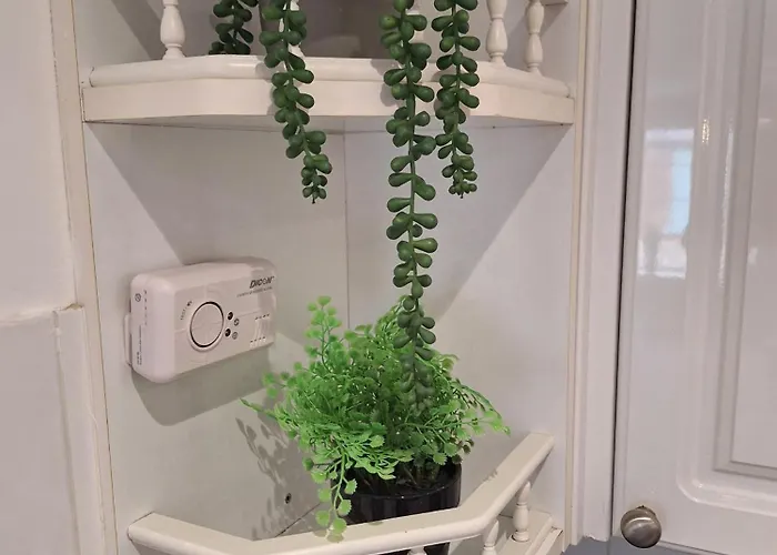 Old Coach House With Garage