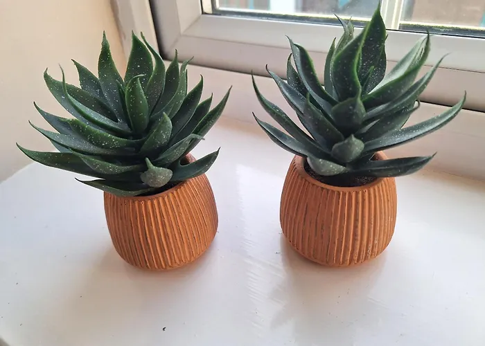 Old Coach House With Garage Apartman Scarborough